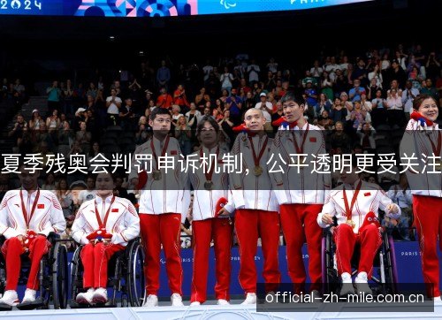 夏季残奥会判罚申诉机制,公平透明更受关注 夏季残奥会判罚申诉机制,公平透明更受关注